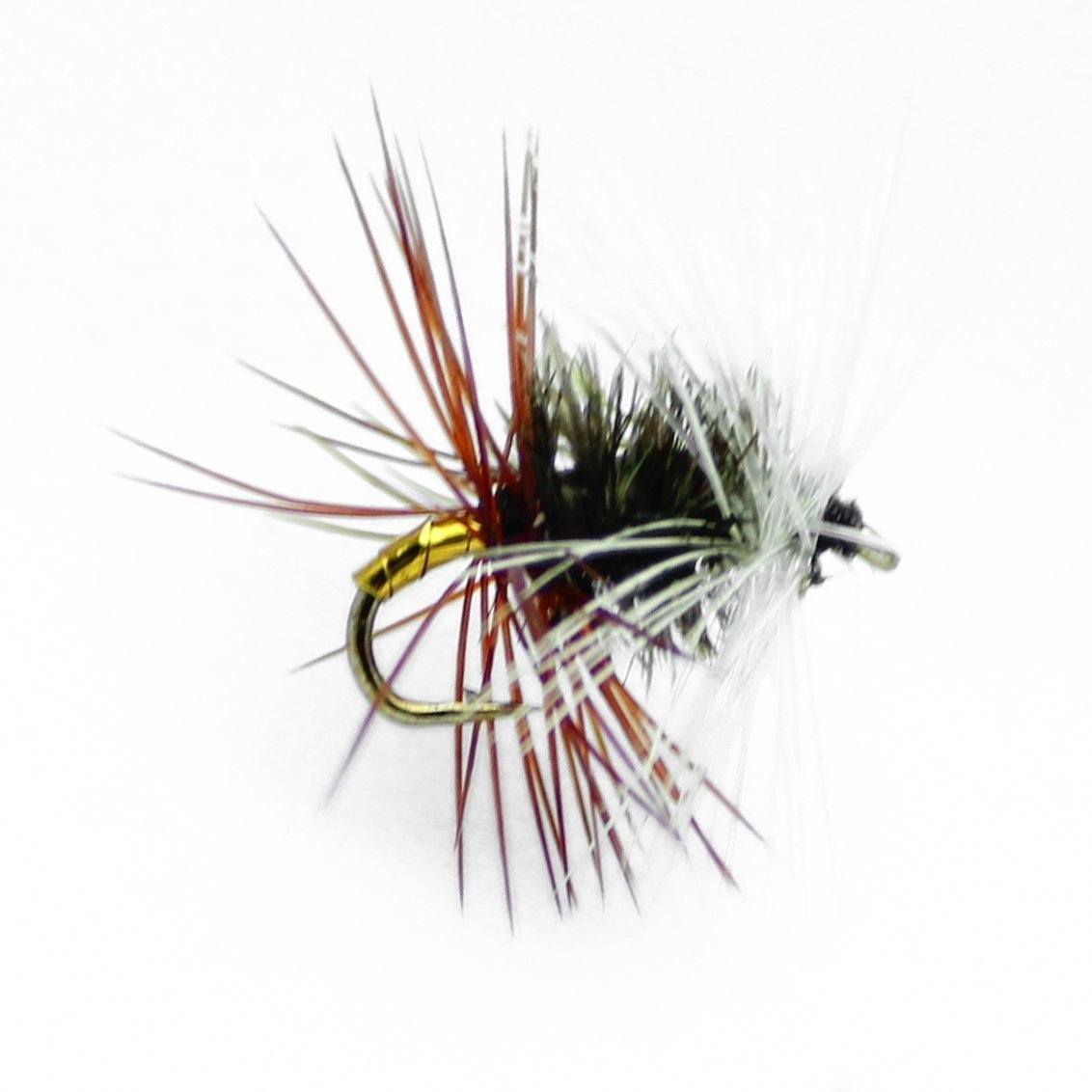 Feeder Creek Fly Fishing Dry Flies Assortment, 6 Patterns Renegade, Black  Gnat, Elk Hair Caddis Tan, Adams Parachute and More, Great for Trout 