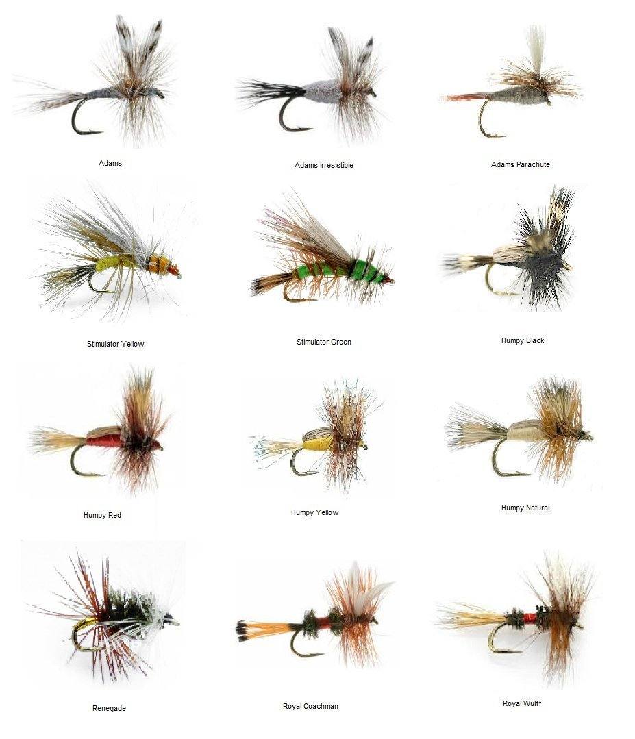 Feeder Creek Fly Fishing Assortment Stimulator Dry Flies for Trout and  Other Freshwater Fish - 27 Hand