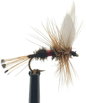 Feeder Creek Fly Fishing Trout Flies - Royal Coachman - One Dozen Flies - 12,14,16 (4 of Each Size