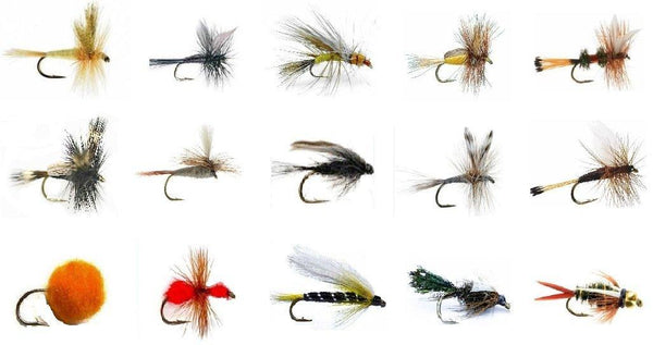 Fly Fishing Lures Set - Wet and Dry Variety for Trout and Freshwater Fish - 15 Patterns - 30 Flies - Feeder Creek