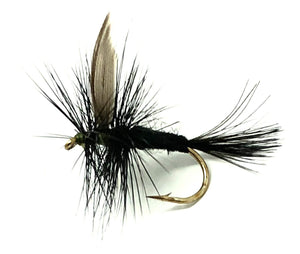 Black Gnat Dry Flies - One Dozen Flies - Sizes 10 - 20