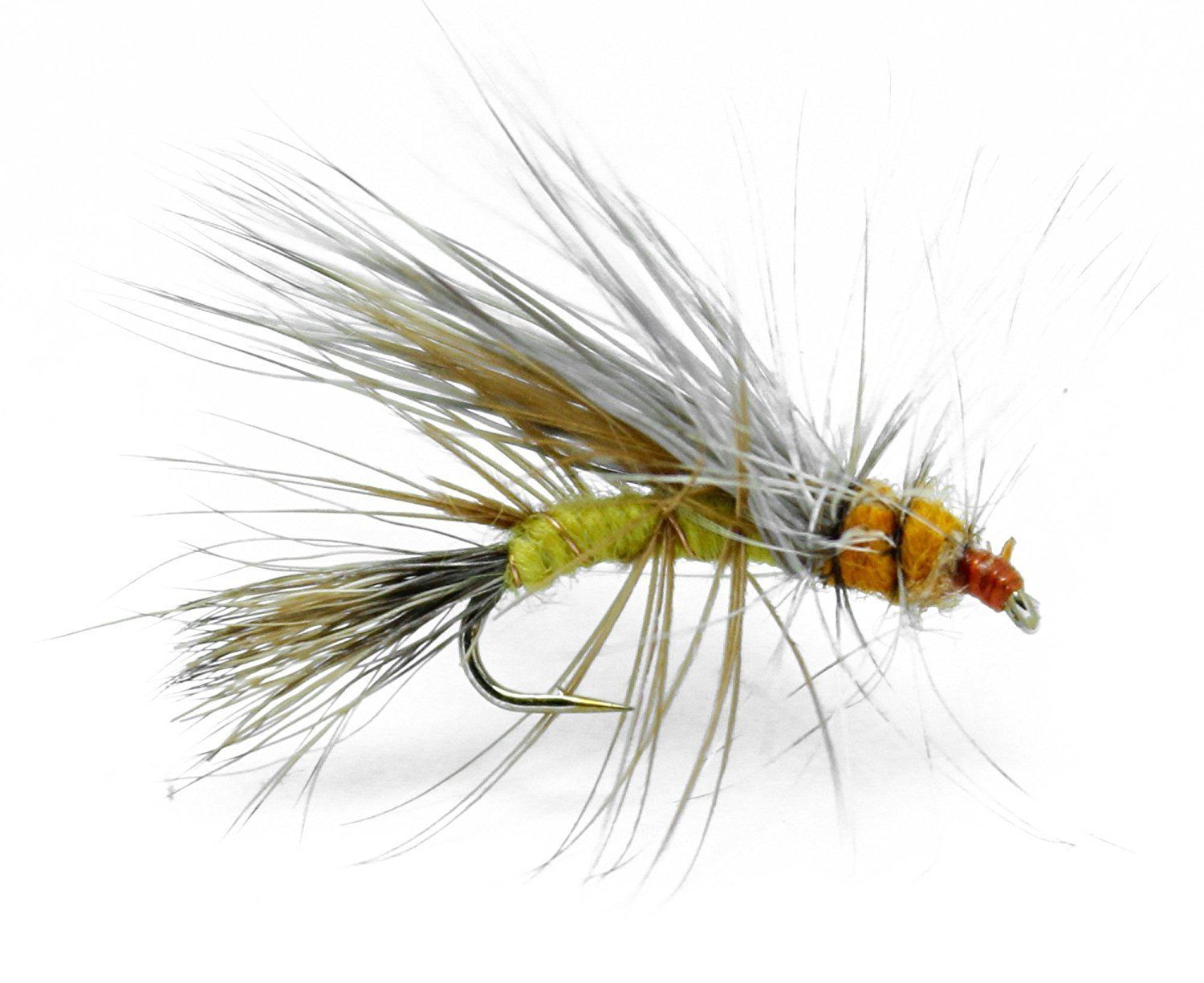 Feeder Creek Fly Fishing Assortment Stimulator Dry Flies for Trout and Other Freshwater Fish - 36 Hand Tied Flies in Sizes 12,14,16 (3 of Each Size)