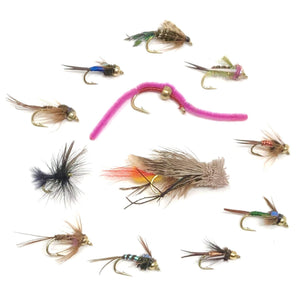 Fly Fishing Assortment - 72 Flies in 12 Trout Crushing Wet Patterns (Prince, Hopper, Pheasant Tail, and More) 3 Sizes