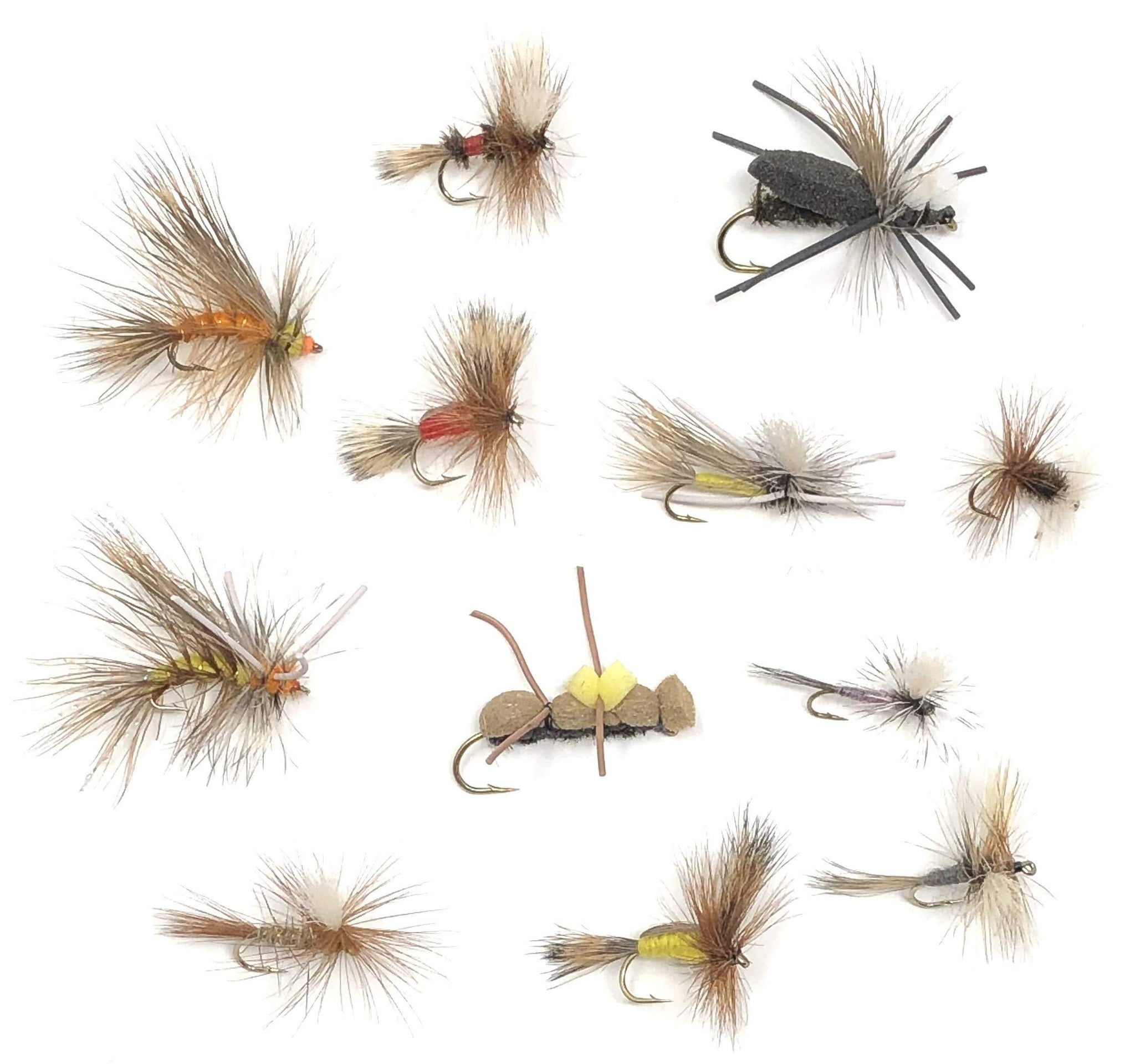 Feeder Creek Fly Fishing Assortment - 72 Dry Flies in 12 Patterns - Ea