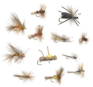 Feeder Creek Fly Fishing Assortment - 72 Dry Flies in 12 Patterns - Each in 3 Sizes (Stimulator, Chernobyl Ant, Madam X, and More)